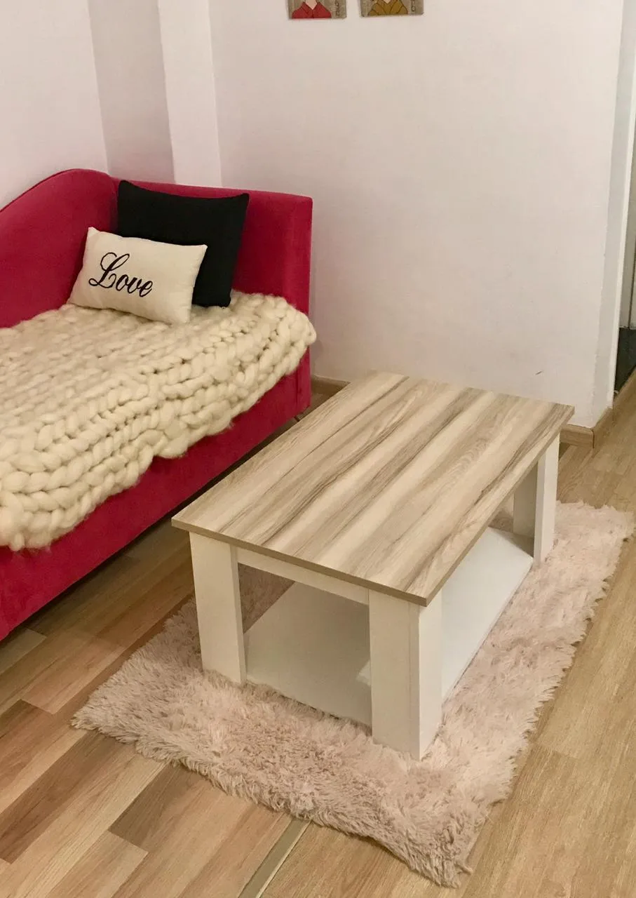 Mesa ratona con guardado 1